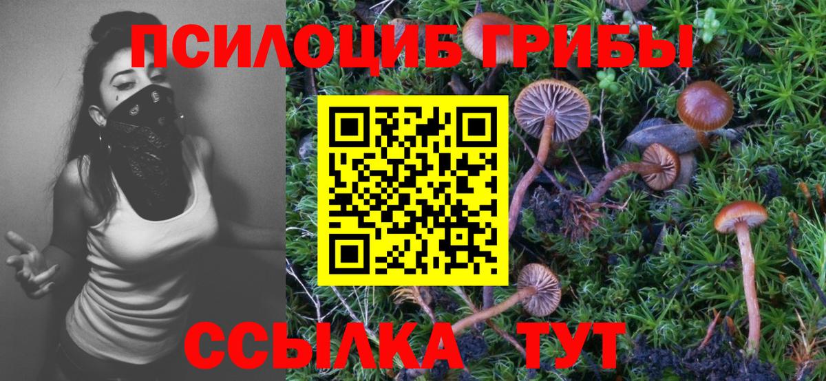 Псилоцибиновые грибы GOLDEN TEACHER  Вход с VPN  Псилоцибиновые грибы Cubensis  Учалы 